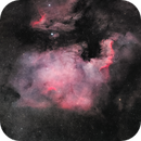North America Nebula (NGC 7000) and Pelican Nebula (IC 5070), Felix Mahncke