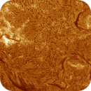 Sun H-alpha: Chromosphere 27.04.2025, Olegs_Astrophotography