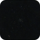 Golden Eye Cluster, Patrick Jasanis