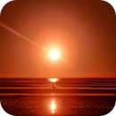 SANDGATE SUNRISE, Richard Posener