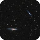 A Whale and a Niblick: NGC 4631 and 4656, LittleGhost