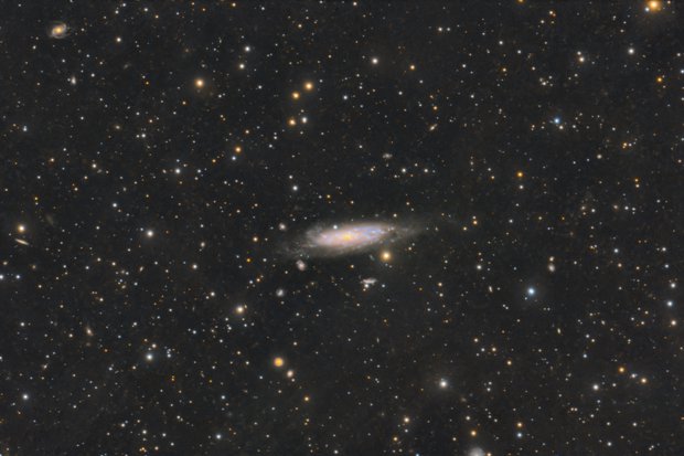NGC 1003