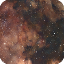 NGC 7000 North America Nebula / IC5070 Pelican Nebula, Reinhold Lamb