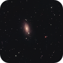 M63 The Sunflower Galaxy 2025, Tryggve Dyrvik