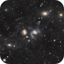 NGC 969-974-978 galaxy group - where IFN "blends" with tidal streams, Stefano Pesci