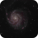M101 The Pinwheel Galaxy, DrNigel