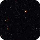 Yellow Stars, Robertson Miller