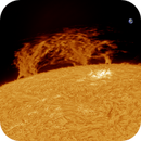 Solar West Limb with a Great Prominence - 2/7/25, YossiZ