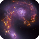 JWST: Antennae Galaxies - Fire and Ice, Daniel Petzen