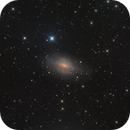NGC3521 Bubble Galaxy, Alpha Zhang