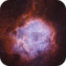 SH 2-275 The Rosette Nebula (3-panel Mosaic in SHO), Josh