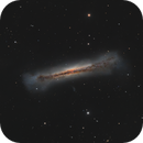 The Hamburger Galaxy, Francesco Meschia