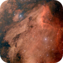 IC 5070, The Pelican Nebula-unexpected clear night with a big Moon!, Mark C. Helton