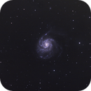 M101, Catherine Ryan Hyde