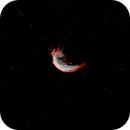 Shrimp Nebula SH2-188 SHO, Peter Bresler