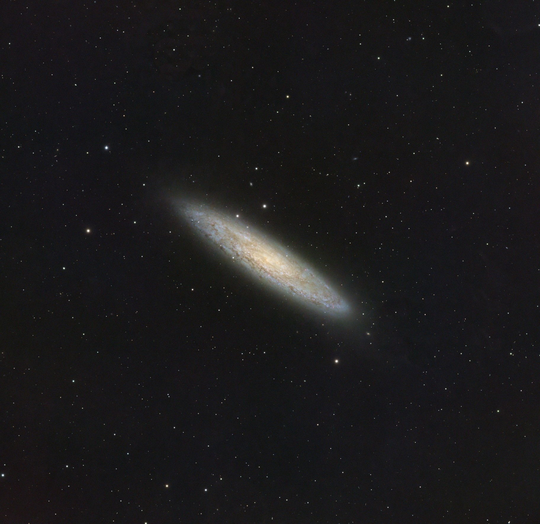 NGC 253 - The Sculptor Galaxy
