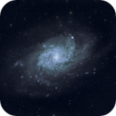 M33, the Triangulum Galaxy, Catherine Ryan Hyde