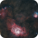 Lagoon & Trifid, Gilmour Dickson