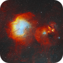 IC2872 - Head of the Running Chicken, Udo Heurich