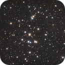 M44, Tobias Scholz