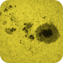 Born suddenly - AR4114 Sunspot group, Rafael Schmall