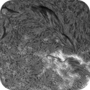Sun H-alpha: Chromosphere 27.04.2025, Olegs_Astrophotography
