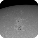 Sun Calcium 393.4 nm 06.06.2025, Olegs_Astrophotography