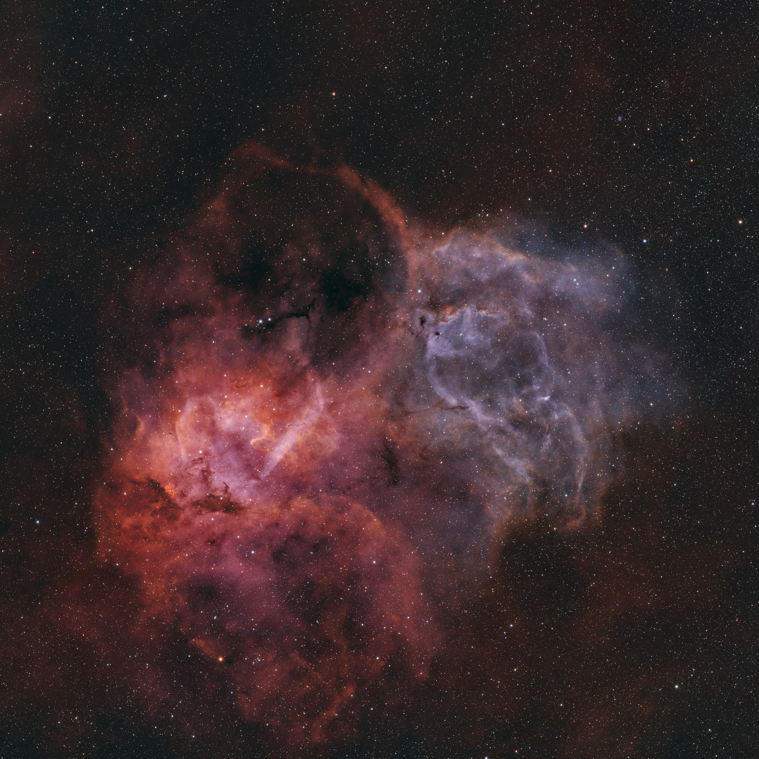 The Sharpless Lion (Sh2-132, The Lion Nebula)