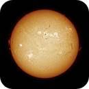 Sun FD in H-Alpha 15th of July 2025 - Colorized, Arne Danielsen