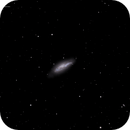 NGC 4605 Dwarf Barred Spiral Galaxy, Roger Menard