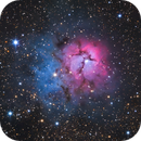 5 min integration Trifid Nebula, Lucas Gonçalves Miranda