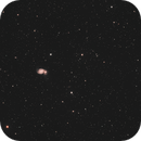 M51 - Whirlpool Galaxy - and surroundings, Tryggve Dyrvik