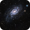 NGC 2403 - Spiral Galaxy in Camelopardalis, Chris Meneses