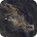 IC3104, Anne-Maree McComb