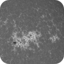 Sun Calcium 393.4 nm 07.06.2025, Olegs_Astrophotography