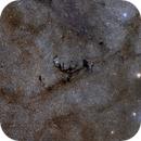Barnard 84 (a.k.a. the Claw Nebula, or the Dark Scorpion), Richard Bright