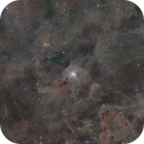 Iris Nebula_A Flower Among the Interstellar Dust, GIANNI MELIS