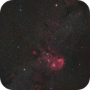 Auriga Wide Field, Sergey Trudolyubov