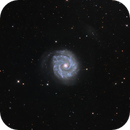 NGC 3631, Roberto Marinoni
