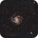IC 342 Hidden Galaxy, Andrew Whiter