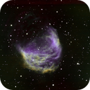 Abell 21 Medusa Nebula SHO, Peter Bresler