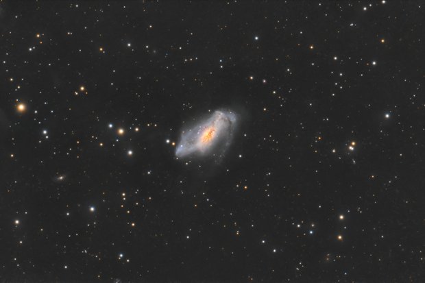 NGC 2146