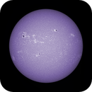 Sun FD in CaK 12th of July 2025 - Colorized, Arne Danielsen
