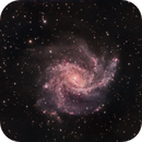 NGC 6946 - Fireworks Galaxy, Chris Meneses