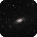 NGC_2903, Mario Richter