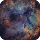 Elephant's Trunk Nebula, Katie A