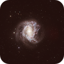 M83  Galaxy in Hydra, Thomas J Schmidtkunz