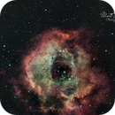 NGC 2237 (Rosette Nebula), 15/03/2025, Matt Beddis