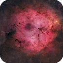 IC1396 crop, Scott Stirling