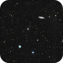 Surfboard Galaxy and Owl Nebula, Andrew Whiter